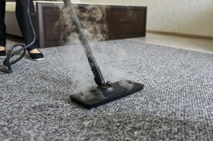 When To Call A Professional For Carpet Repair Brisbane